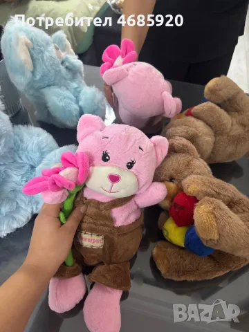 Плюшени мечета.  