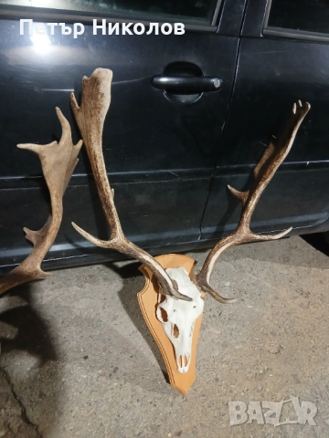 Трофей от Елен Монарх, снимка 1