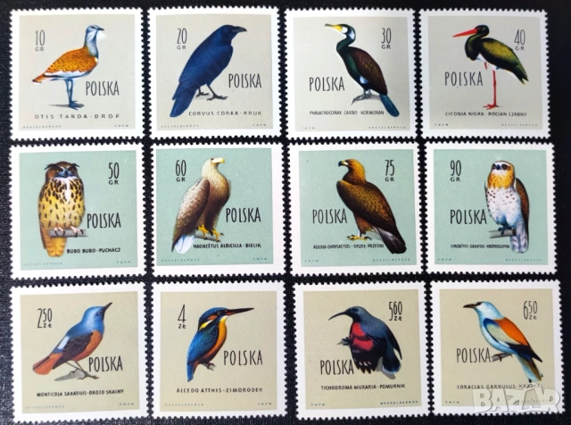 Полша, 1960 г. - лот на тема музика, личности, носии, спорт, история, изкуство, архитектура, птици, снимка 13 - Филателия - 53250840