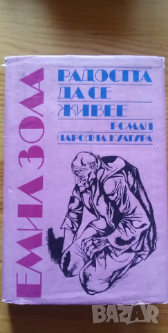 Радостта да се живее  - Емил Зола, снимка 1 - Художествена литература - 36372999