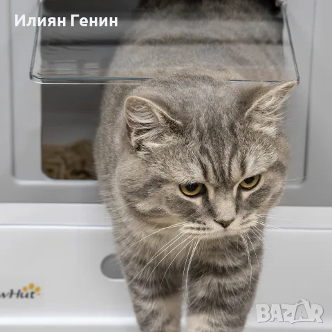 Котешка тоалетна, снимка 6 - За котки - 56149149