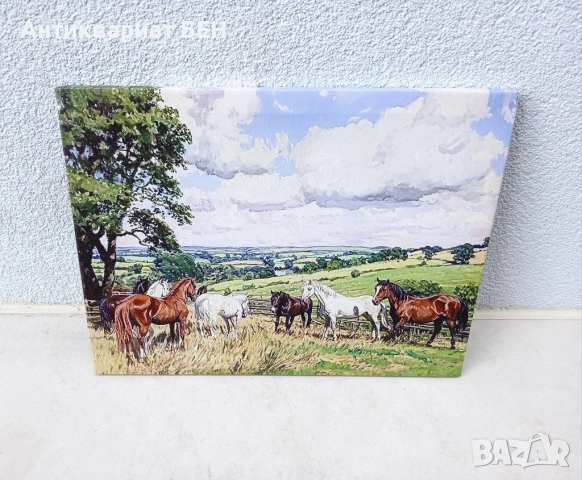 " КОНЕ В ПЛАНИНАТА " 💯, снимка 1