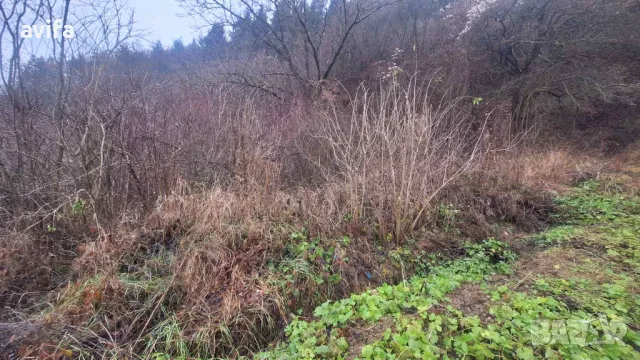 Имот в село Голема Раковица, снимка 3 - Парцели - 49638435