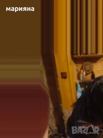 Малък йоркширски господин, снимка 11 - Йоркширски териер - 53622170