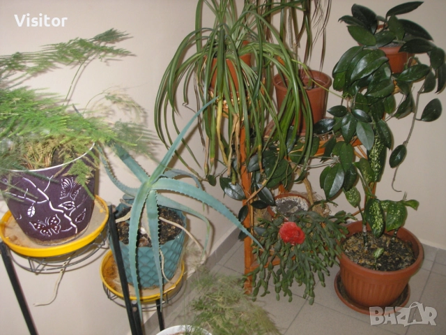 фотоапарат Olympus IR-300, снимка 10 - Фотоапарати - 51710319