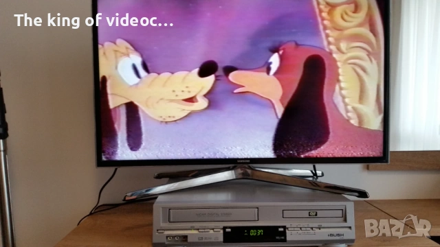 VHS Видеокасета с най-известните анимации :Гуфи , Доналд,  Чип и Дел и други VHS, снимка 13 - Анимации - 53173763