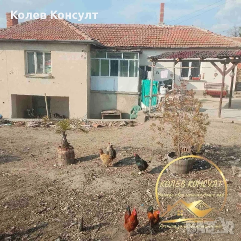 Къща село Йерусалимово , снимка 8 - Къщи - 53813543