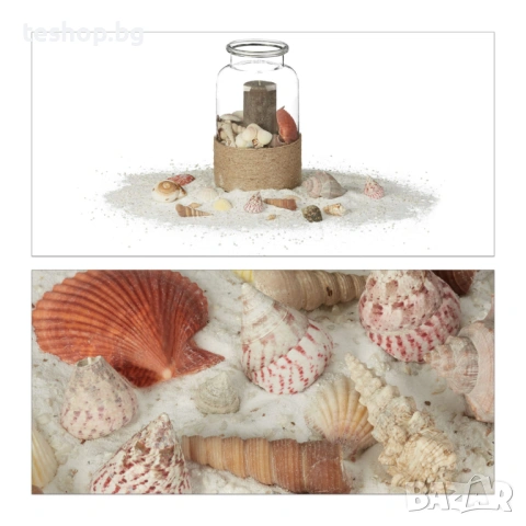 Микс от рапани и миди Relaxdays за декорация, снимка 4 - Други - 53775971