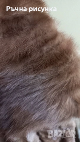 Старинни Датско и Нидерландско производство палта от естествена кожа и косъм, снимка 6 - Палта, манта - 51762331