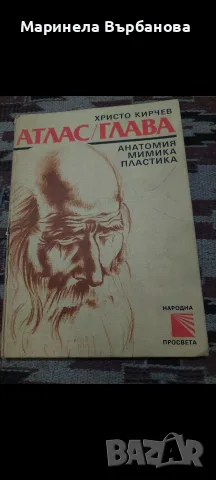 Атлас/Анатомия Глава