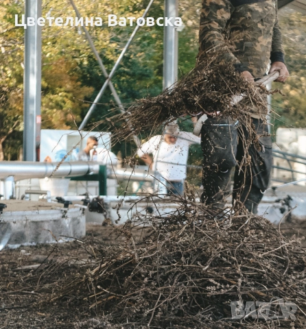 Търсим работник с шофьорска книжка – целогодишна заетост 🌿, снимка 2 - Производствени работници - 52069398