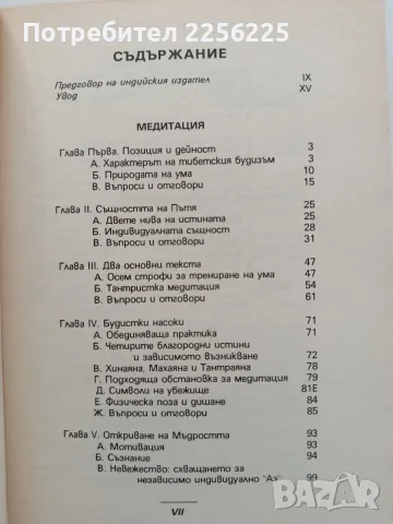 Медитация - Развиване на всекидневната практика, снимка 9 - Специализирана литература - 55786849