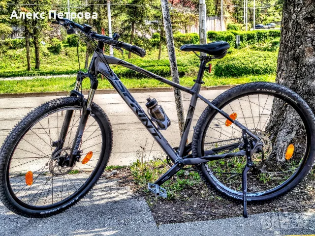 Sprint Apolon Pro 29 M