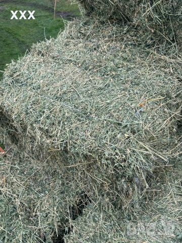 Продавам Бали люцерна перфектно качество 