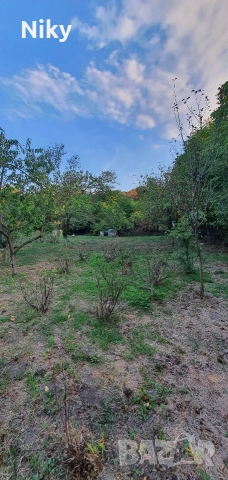 Къща в Търговище кв. Бряг , снимка 16 - Къщи - 52618429