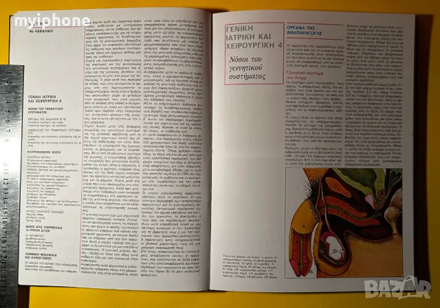 Стара Книга Обща медецина и Хирургия Ръководство за Хигиена, снимка 8 - Специализирана литература - 49429113