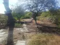 Къща във местността Орлето.  , снимка 8