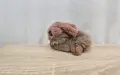 Плюшени кафяви заек , снимка 2