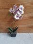 Изкуствени орхидеи в саксийка , снимка 4