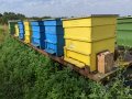 Пчелни кошери и платформа, снимка 1 - За пчели - 40807210