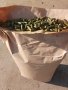 Фуражно предприятие продава пелети (гранули) люцерна, снимка 1 - За селскостопански - 44303625
