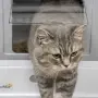 Котешка тоалетна, снимка 6