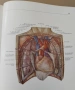 "Анатомичен атлас на човешкото тяло" в три тома, снимка 9