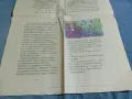 "Златната лисица", снимка 3