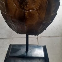 Сувенир костенурка върху дървена стойка, снимка 2 - Декорация за дома - 34661433