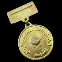 Кюрдистан-Кюрдистански медал знак-Рядкост-Революционна партия, снимка 5 - Колекции - 41666017