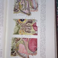 Уникална медицинска енциклопедия1150 страници, снимка 4 - Специализирана литература - 41625843