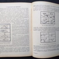 Армировка  Учебник , снимка 5 - Специализирана литература - 41142398