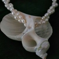 Атрактивно колие от естествени перли, снимка 5 - Колиета, медальони, синджири - 34663805