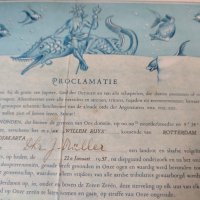 Стар документ за преминаването на екватора на кораба Willem ruys от 22 януари 1957 г.s, снимка 1 - Антикварни и старинни предмети - 41680823