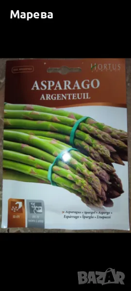 Аспержи разсад, готови за разсаждане. Цена за брой 0.50лв, снимка 1