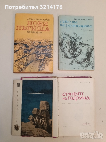 Аня - Върбан Стаматов, снимка 1