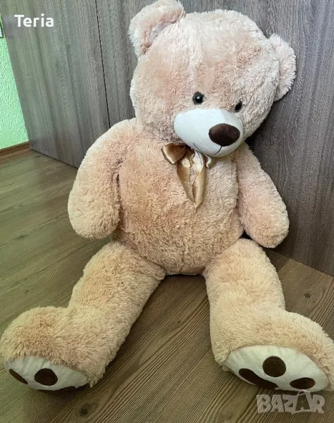 Плюшена мечка, снимка 1