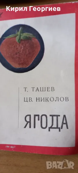 Ягода Стопанско и здравно значение , снимка 1