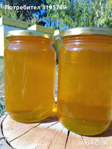 Натурален пчелен мед букет от липа и слънчоглед реколта 2024, снимка 1