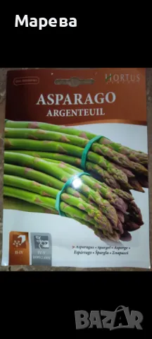Аспержи разсад, готови за разсаждане. Цена за брой 0.50лв, снимка 1