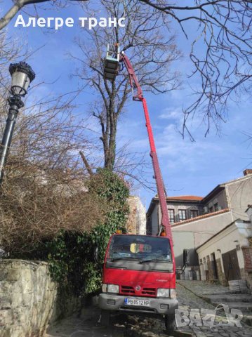 17m Автовишка под наем Пловдив и регион рязане на опасни дървета, снимка 4 - Услуги с автокран - 35724282
