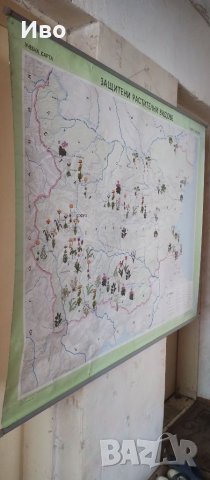 Голяма стенна карта на защитени растения, снимка 8 - Колекции - 41305987
