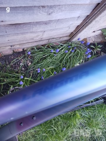 Giant Langma, снимка 8 - Велосипеди - 40624908