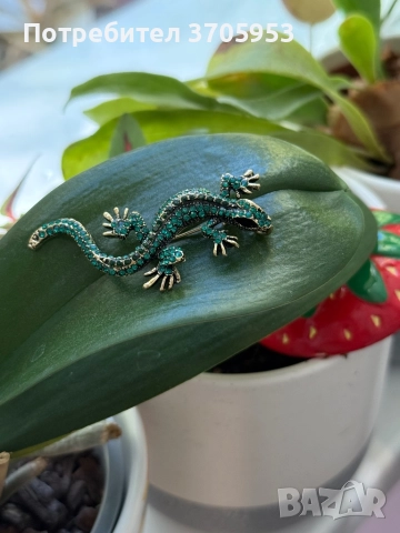 Различни видове брошки, снимка 11 - Колиета, медальони, синджири - 52172914