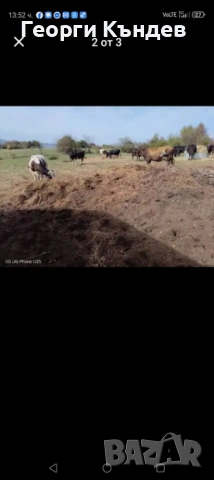 Угнила оборска тор в чували, снимка 3 - Тор и почвени смеси - 53193380