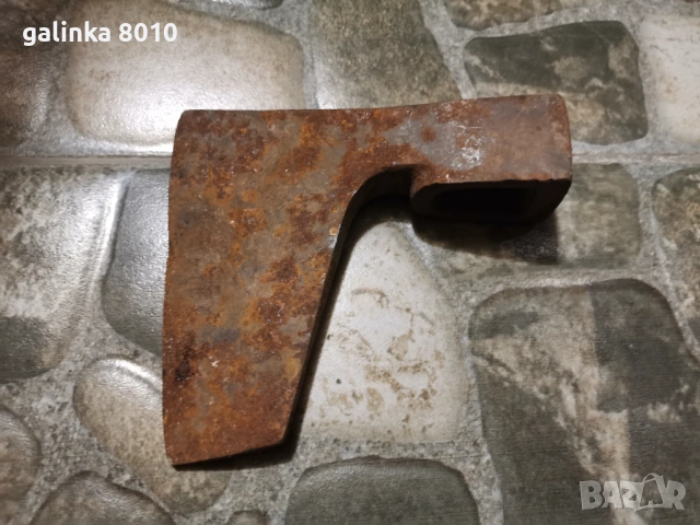 Стара брадвичка