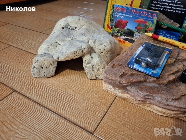 СЕТ ЗА КОСТЕНУРКИ ПРОМОЦИЯ, снимка 7 - Костенурки - 53280552