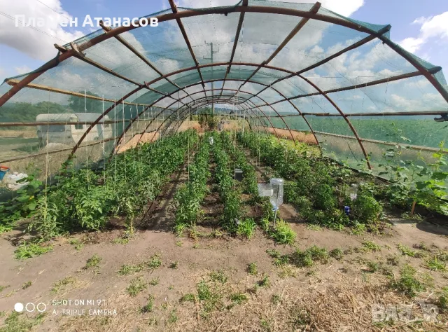 Холандско хале конструкция 