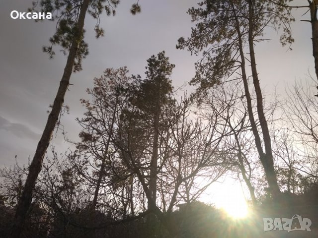 Апартамент-студио в Сандански за нощувки, снимка 13 - Стаи под наем - 39476156