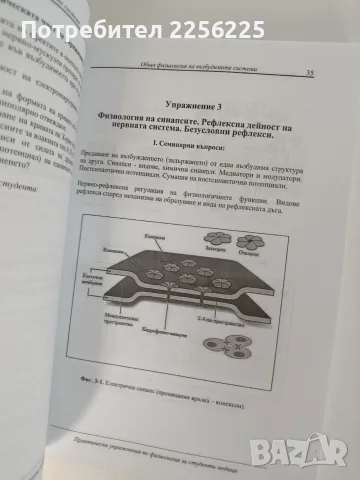 ЛОТ "Физиология ", снимка 4 - Специализирана литература - 56256786